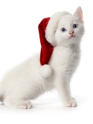 Fondo de pantalla Christmas Cat 132x176