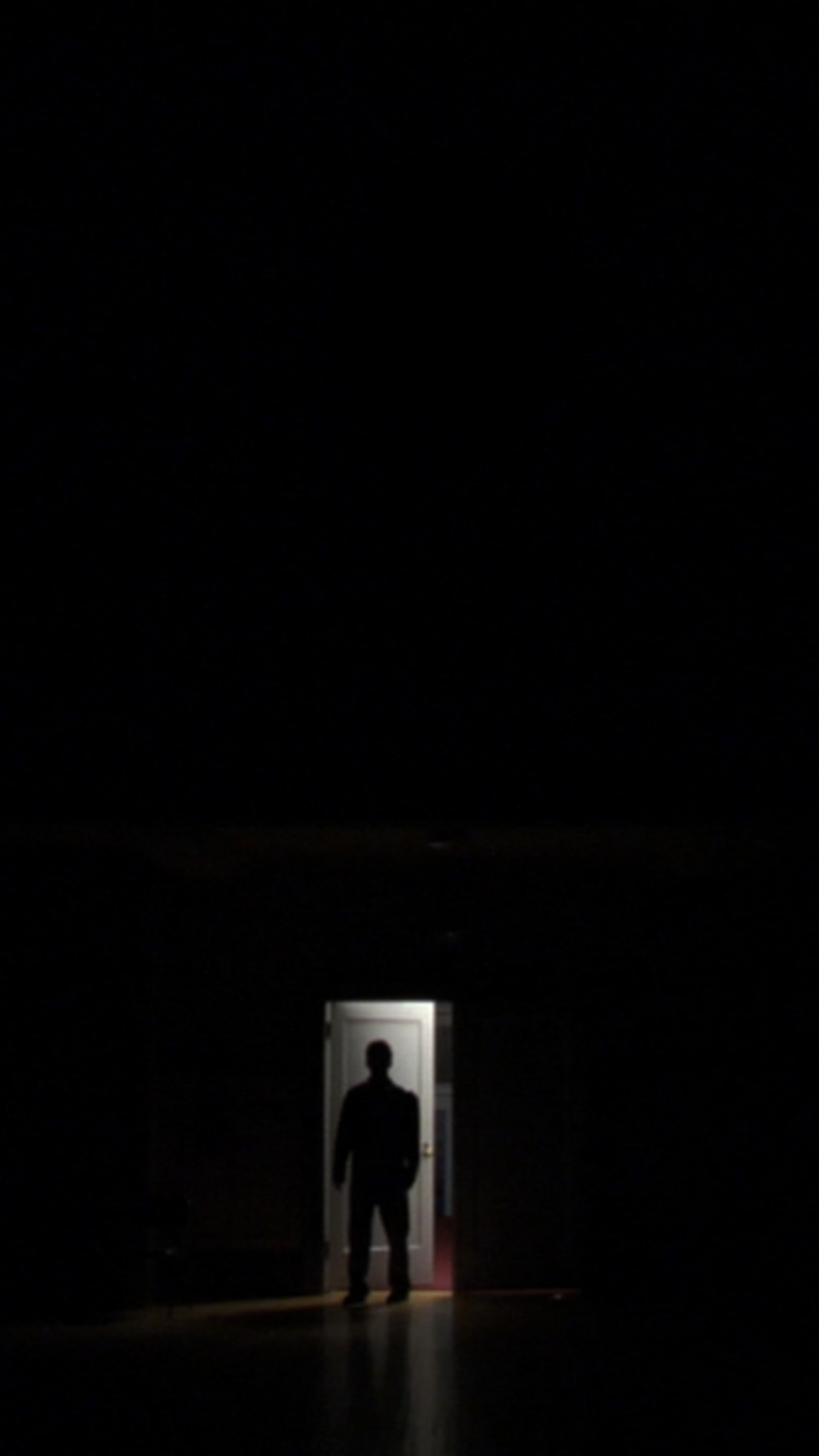 Das Silhouette In Dark Wallpaper 1080x1920