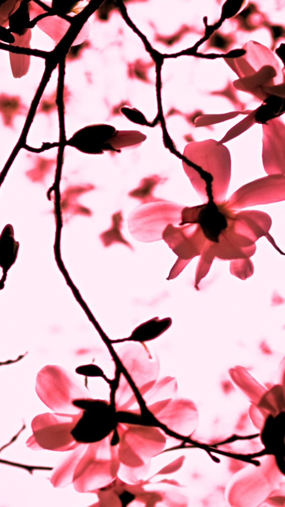Magnolia Twigs screenshot #1 1080x1920