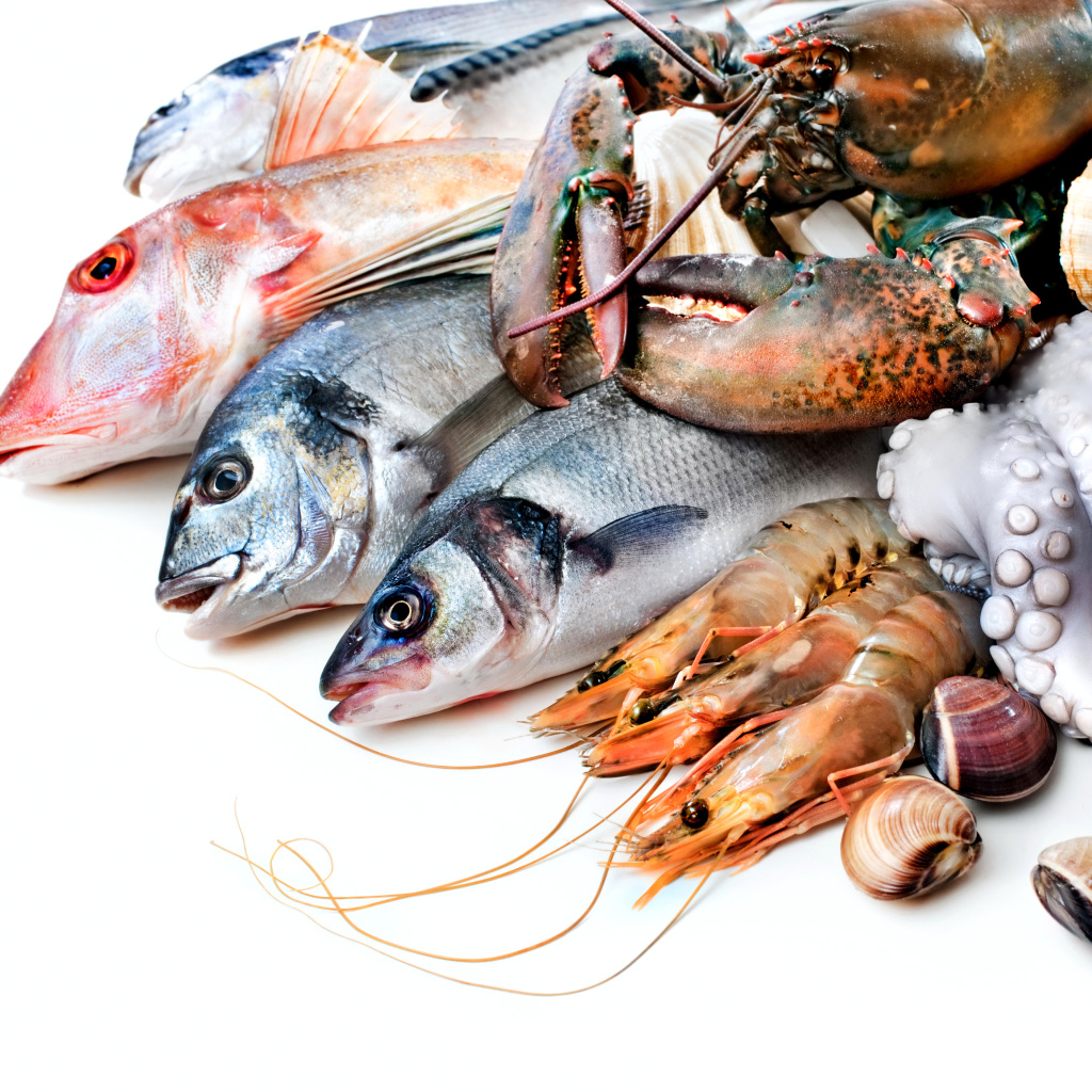 Fresh Seafood wallpaper 1024x1024