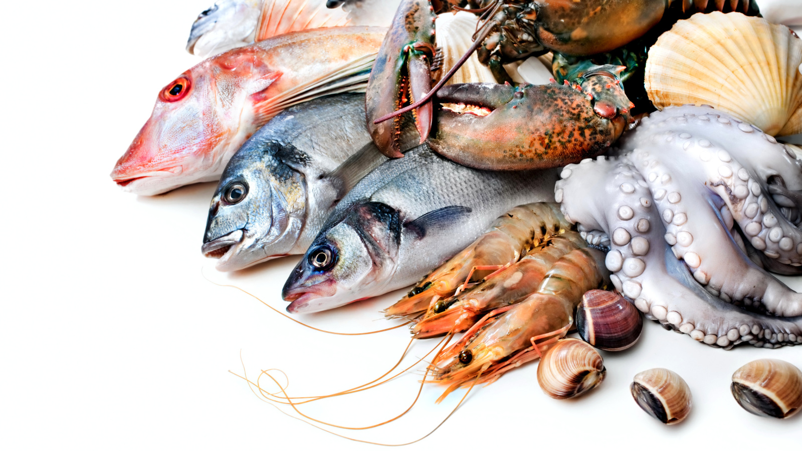 Fresh Seafood wallpaper 1600x900