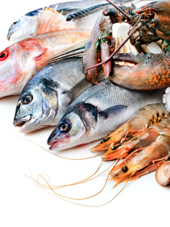 Обои Fresh Seafood 240x320