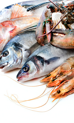 Das Fresh Seafood Wallpaper 240x400