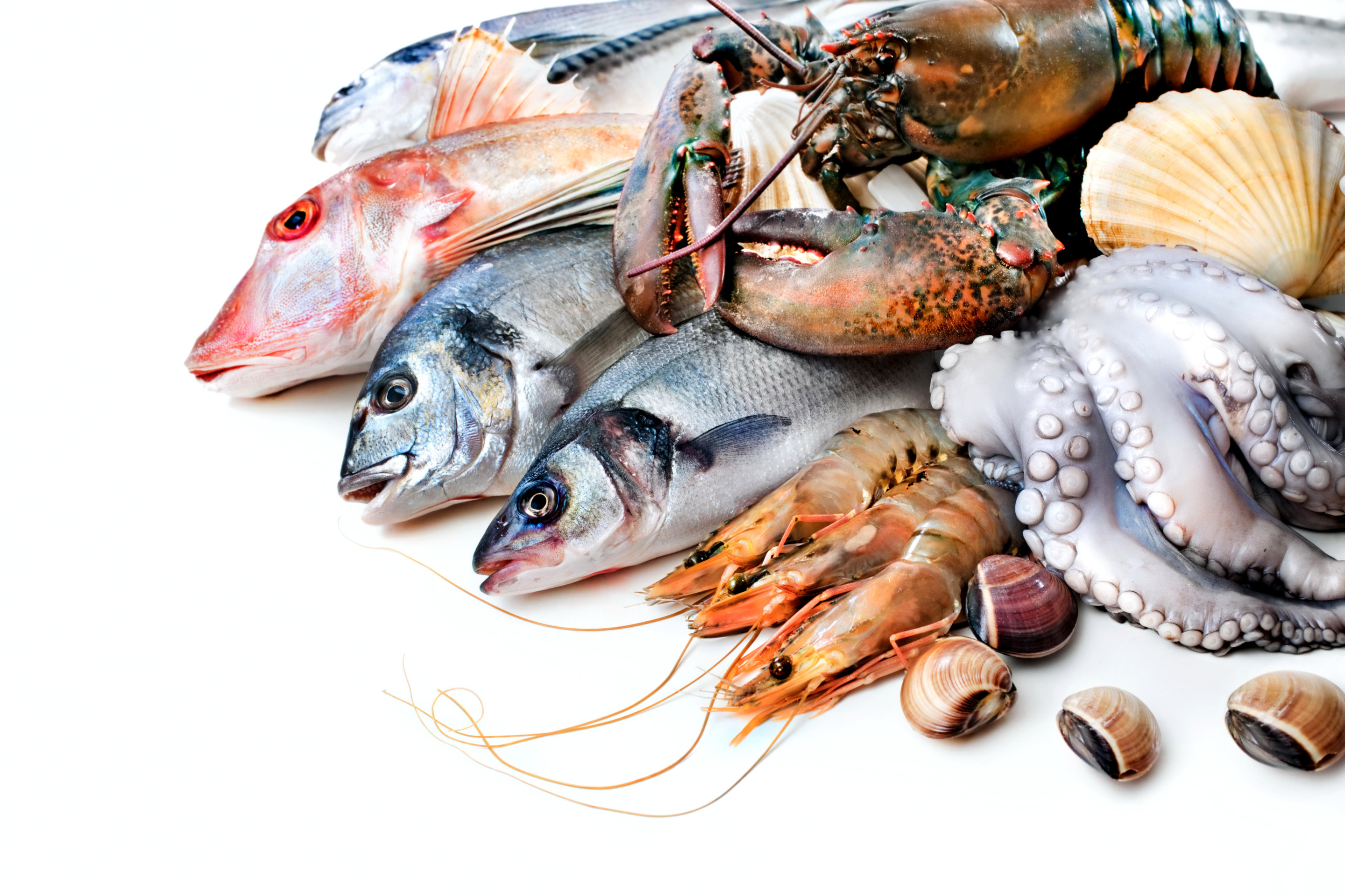 Fondo de pantalla Fresh Seafood 2880x1920