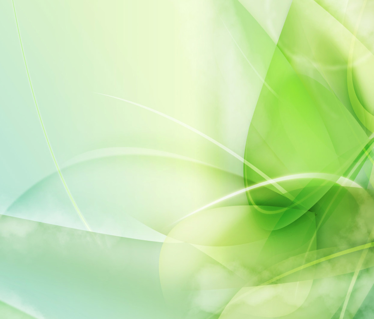 Fondo de pantalla Green Leaf Abstract 1200x1024