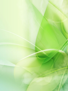 Fondo de pantalla Green Leaf Abstract 240x320