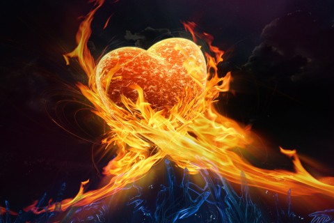 Обои Love Is Fire 480x320