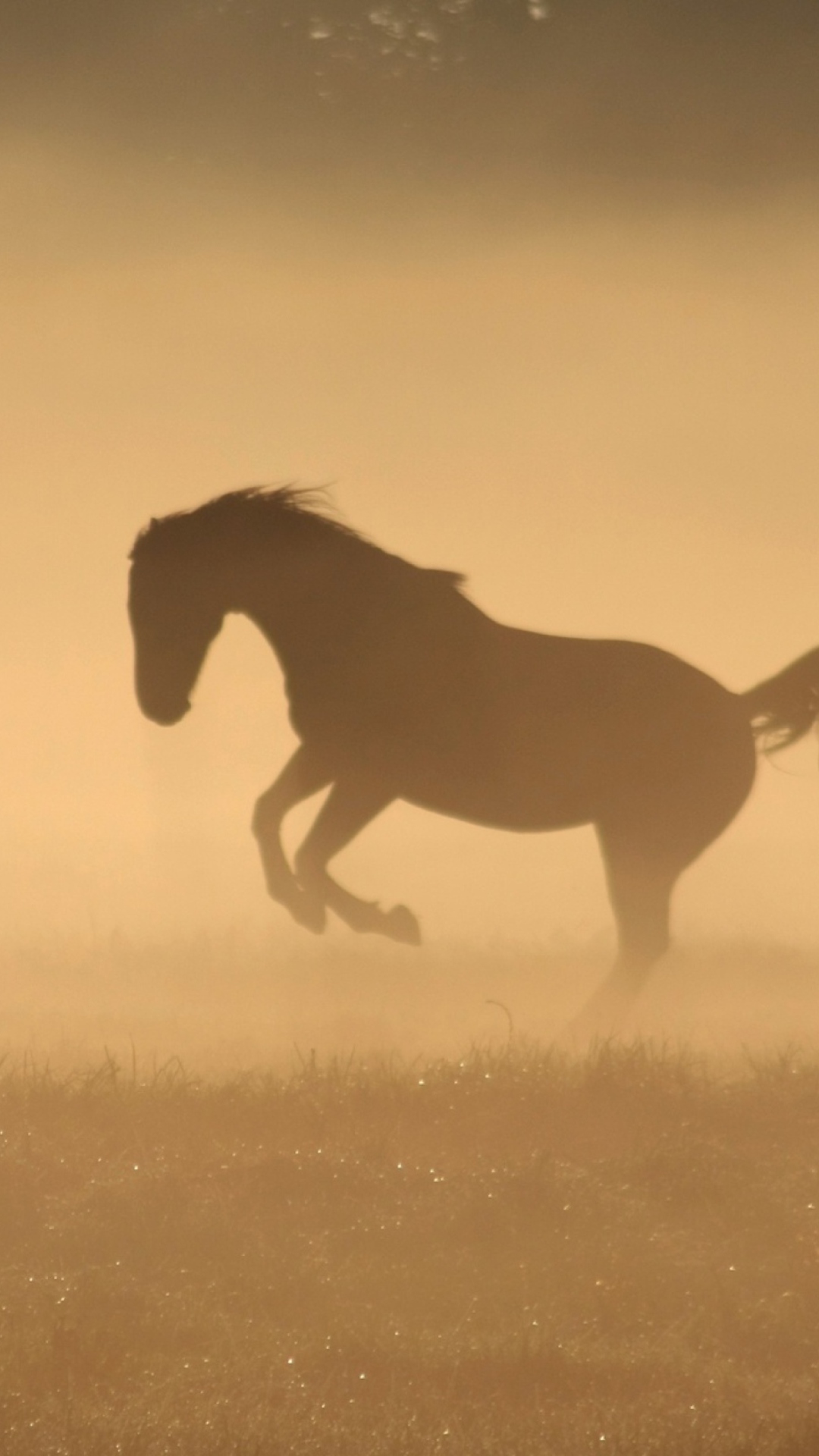 Mustang In Dust wallpaper 1080x1920