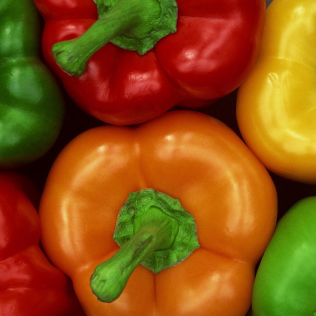 Colored Peppers wallpaper 1024x1024