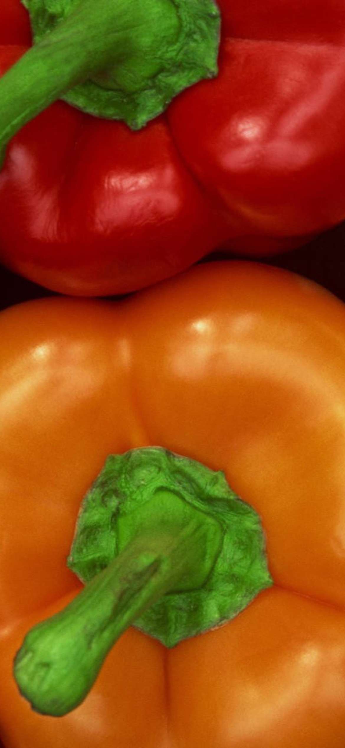 Das Colored Peppers Wallpaper 1170x2532