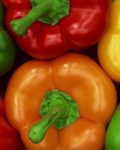 Colored Peppers wallpaper 176x220