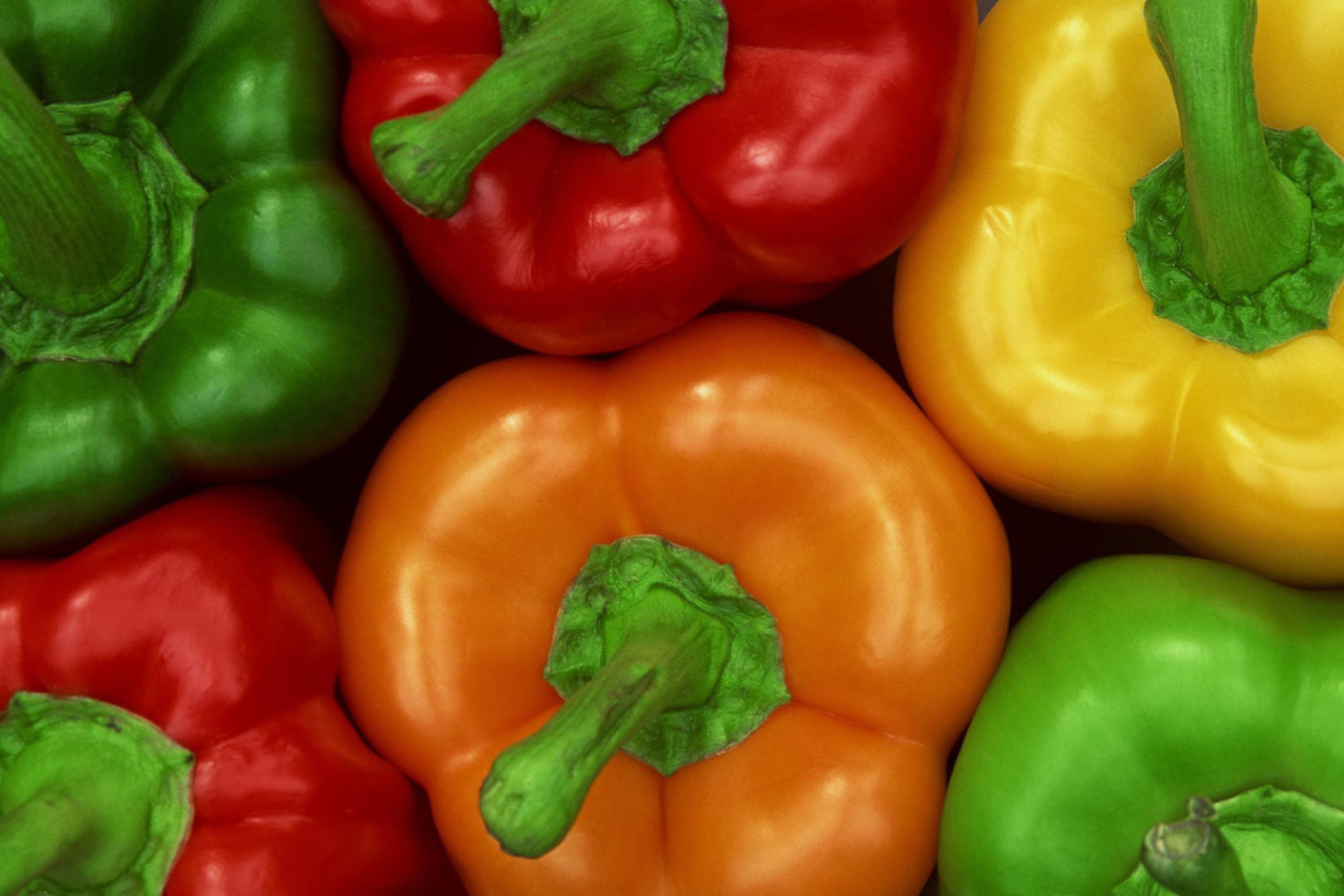 Colored Peppers wallpaper 2880x1920