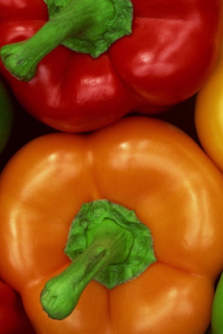 Colored Peppers wallpaper 320x480