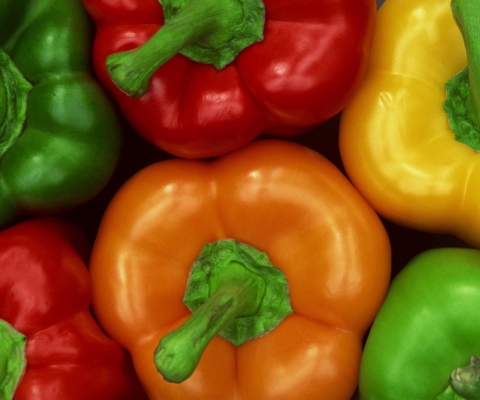 Обои Colored Peppers 480x400