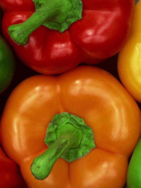 Colored Peppers wallpaper 480x640