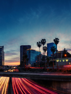 Sunset In LA screenshot #1 240x320