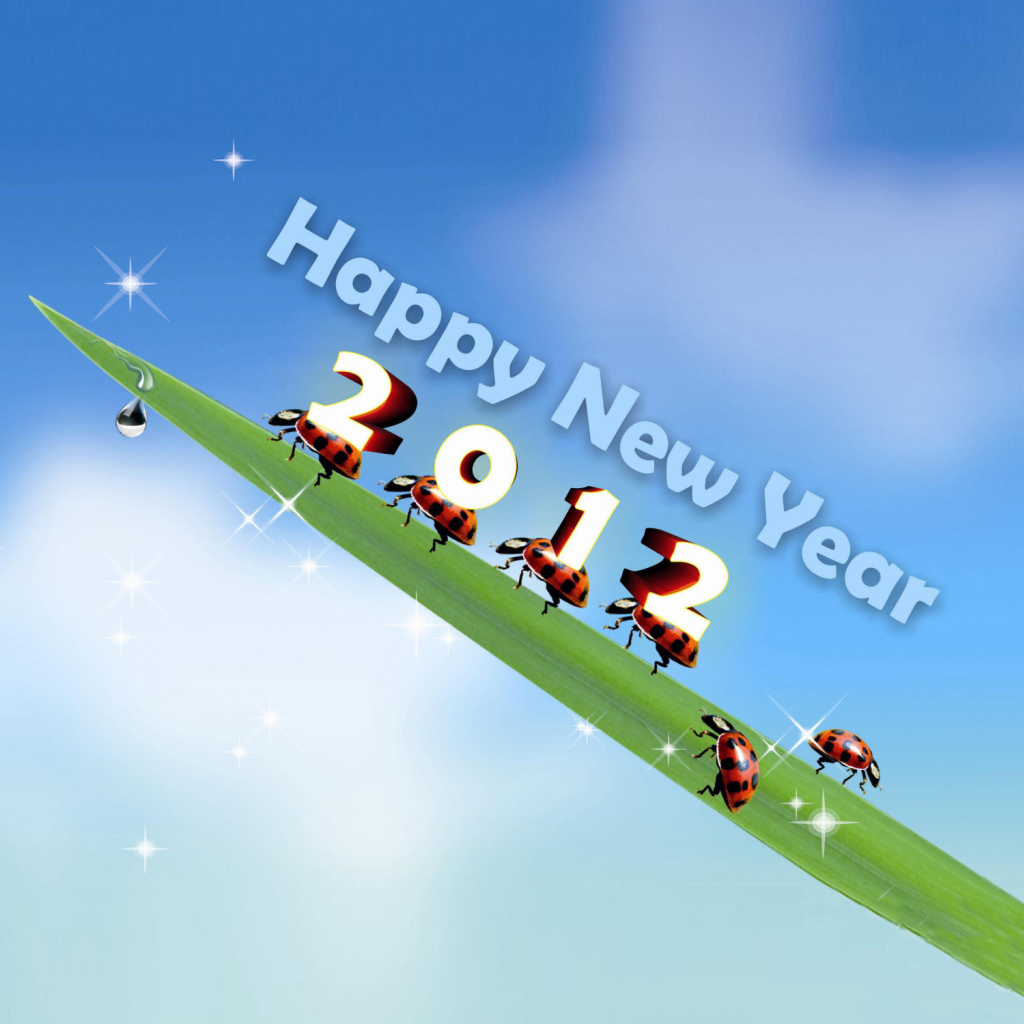 Happy New Year wallpaper 1024x1024