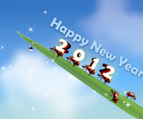 Happy New Year wallpaper 480x400