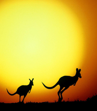 Kangaroo At Sunset papel de parede para celular para 128x160