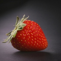 Strawberry wallpaper 208x208