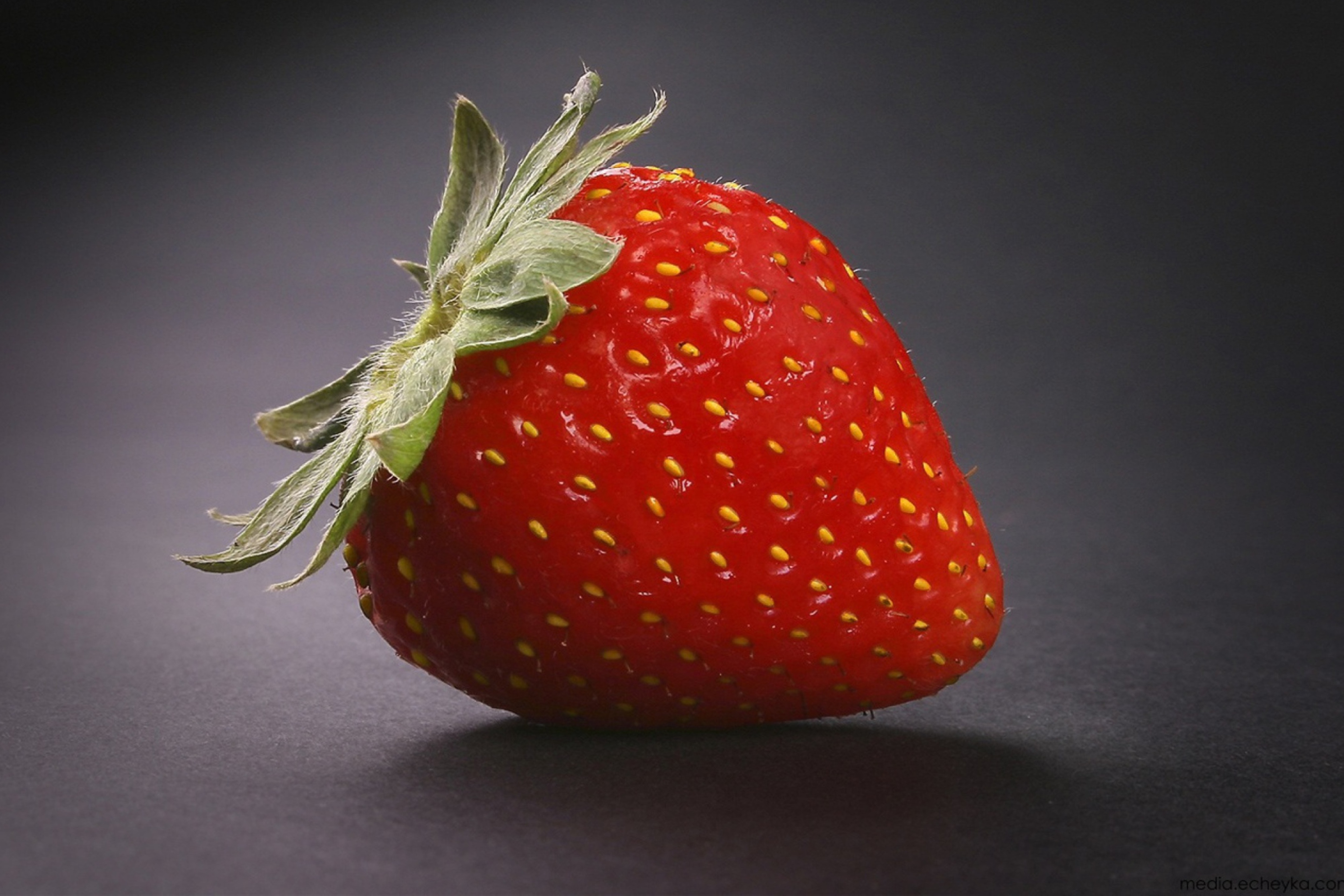 Sfondi Strawberry 2880x1920