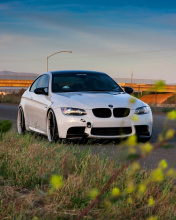 Fondo de pantalla BMW M3 with Wheels 19 176x220