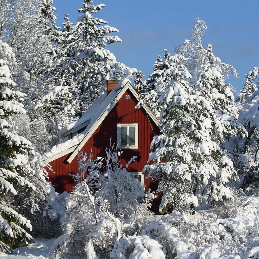Fondo de pantalla Winter in Sweden 1024x1024