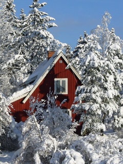 Обои Winter in Sweden 240x320