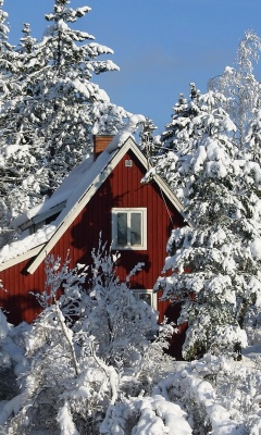 Winter in Sweden wallpaper 240x400