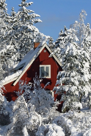 Das Winter in Sweden Wallpaper 320x480