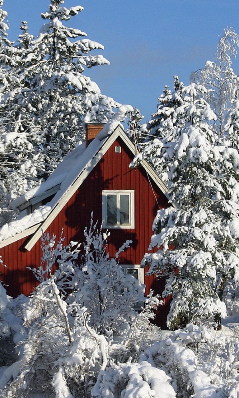 Обои Winter in Sweden 768x1280