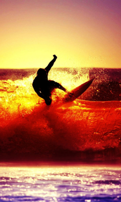 Surfing screenshot #1 240x400