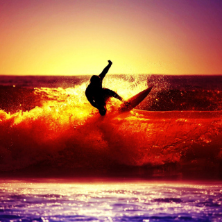 Surfing Wallpaper for Nokia 6100