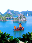 Screenshot №1 pro téma Vietnam Attractions 132x176