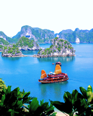 Vietnam Attractions sfondi gratuiti per Nokia Asha 311