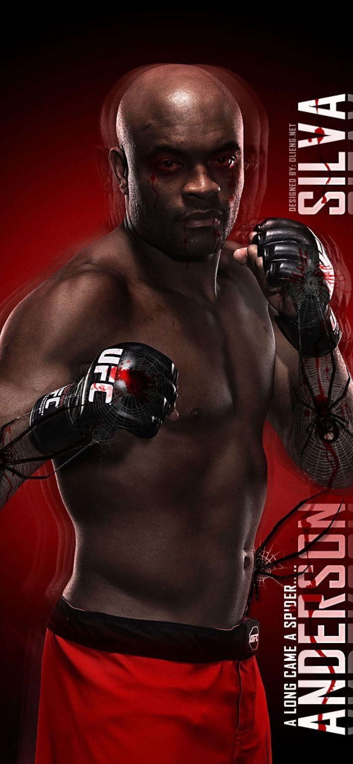 Das Anderson Silva UFC Wallpaper 1170x2532