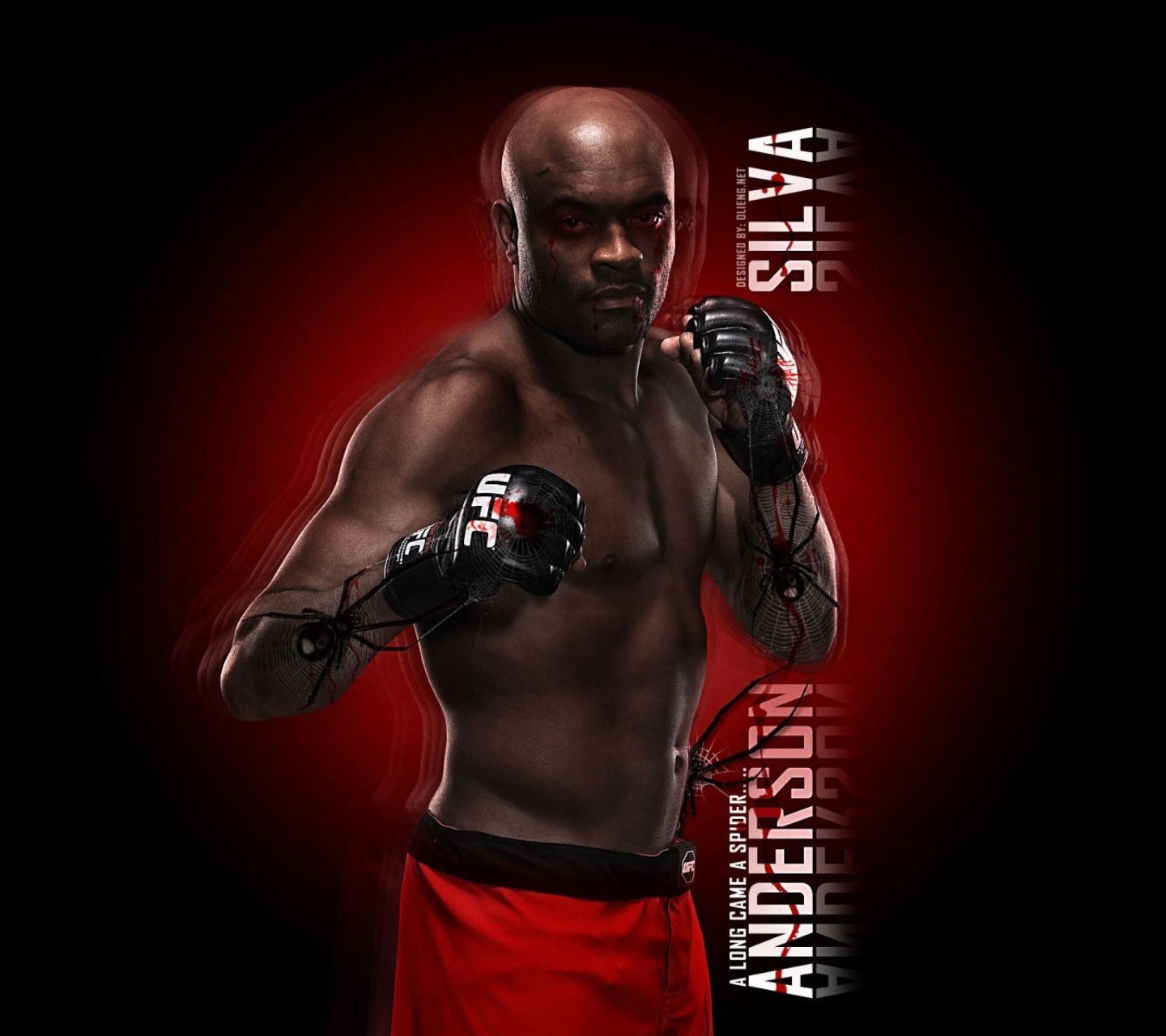 Das Anderson Silva UFC Wallpaper 1440x1280