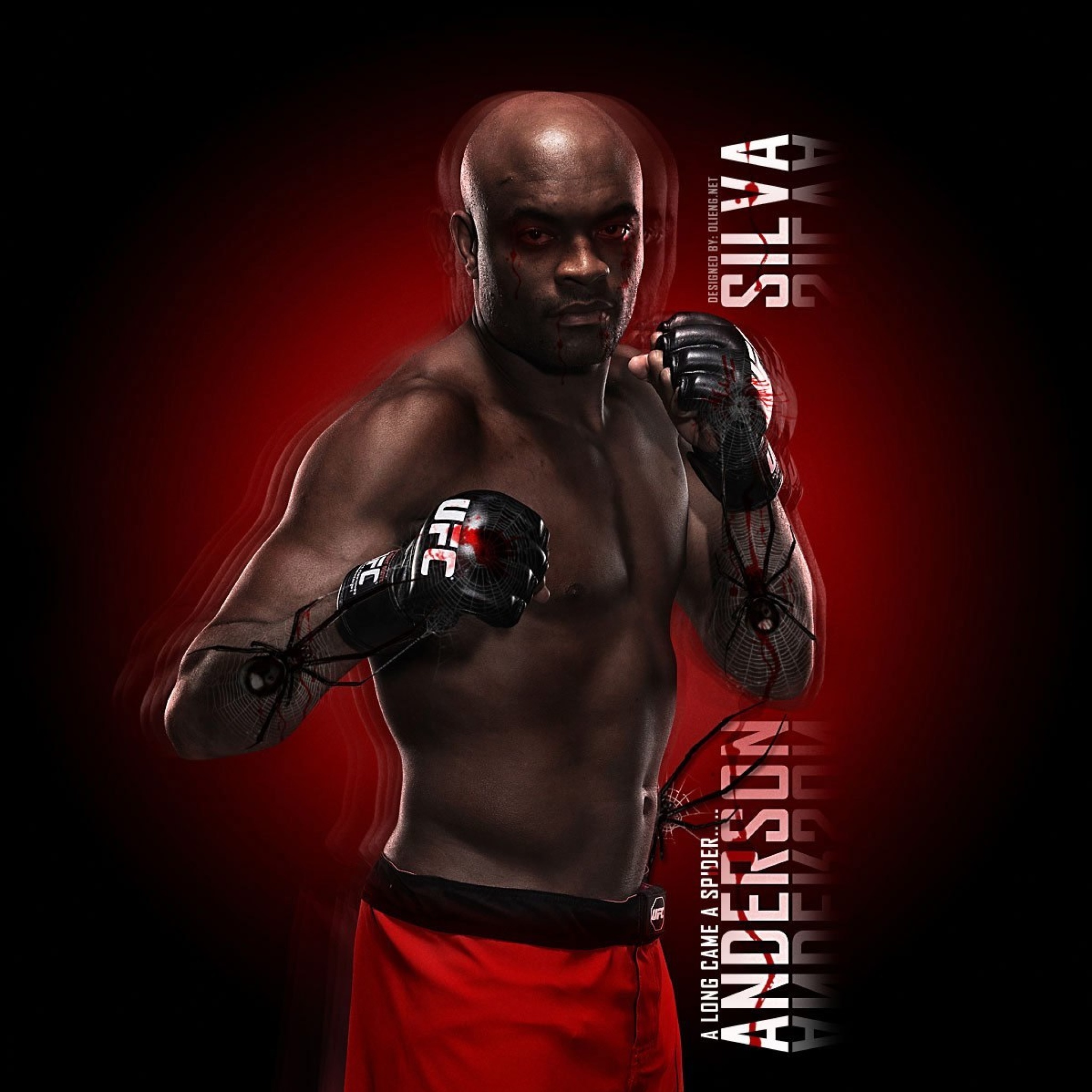 Das Anderson Silva UFC Wallpaper 2048x2048