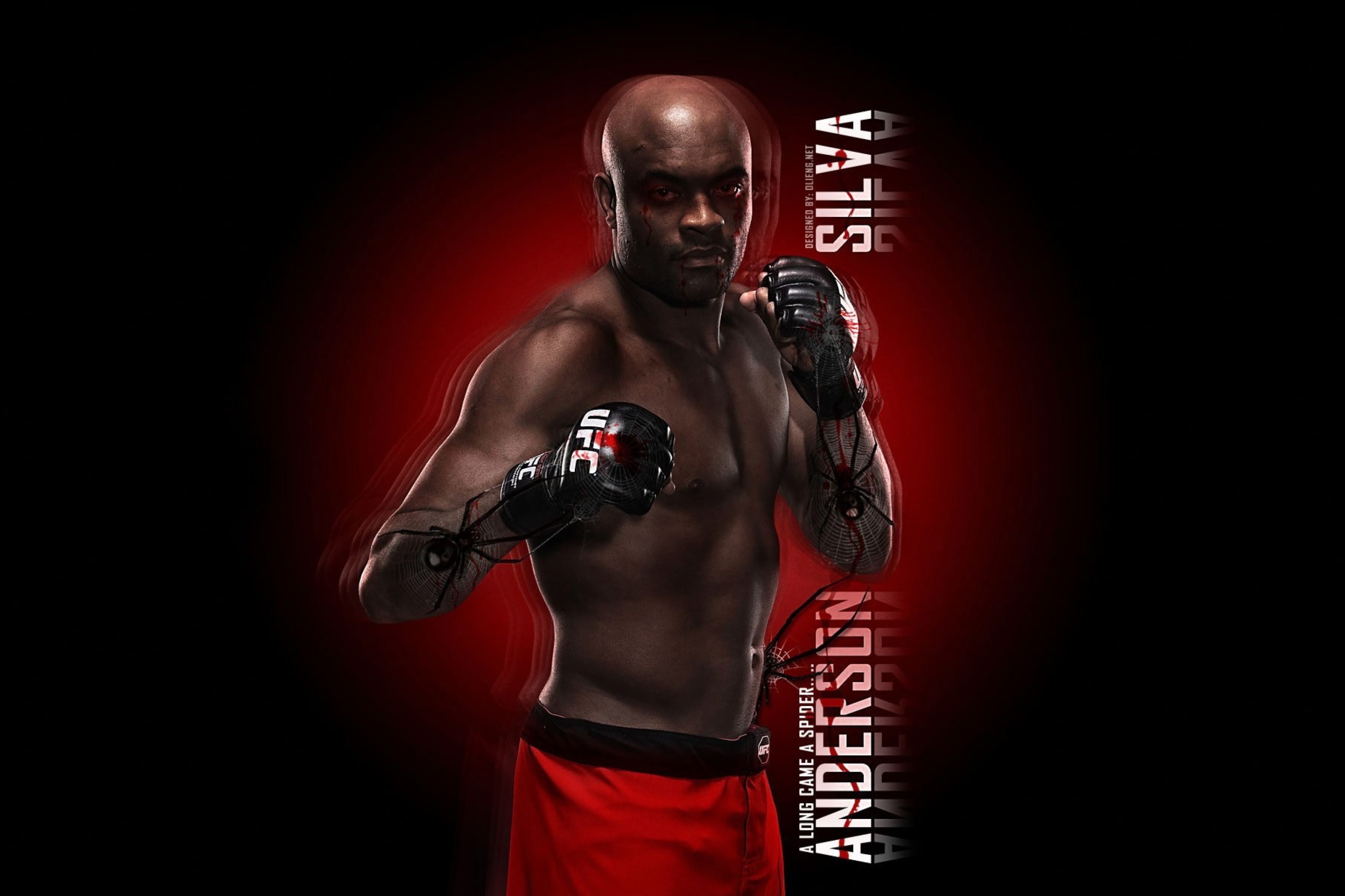 Das Anderson Silva UFC Wallpaper 2880x1920