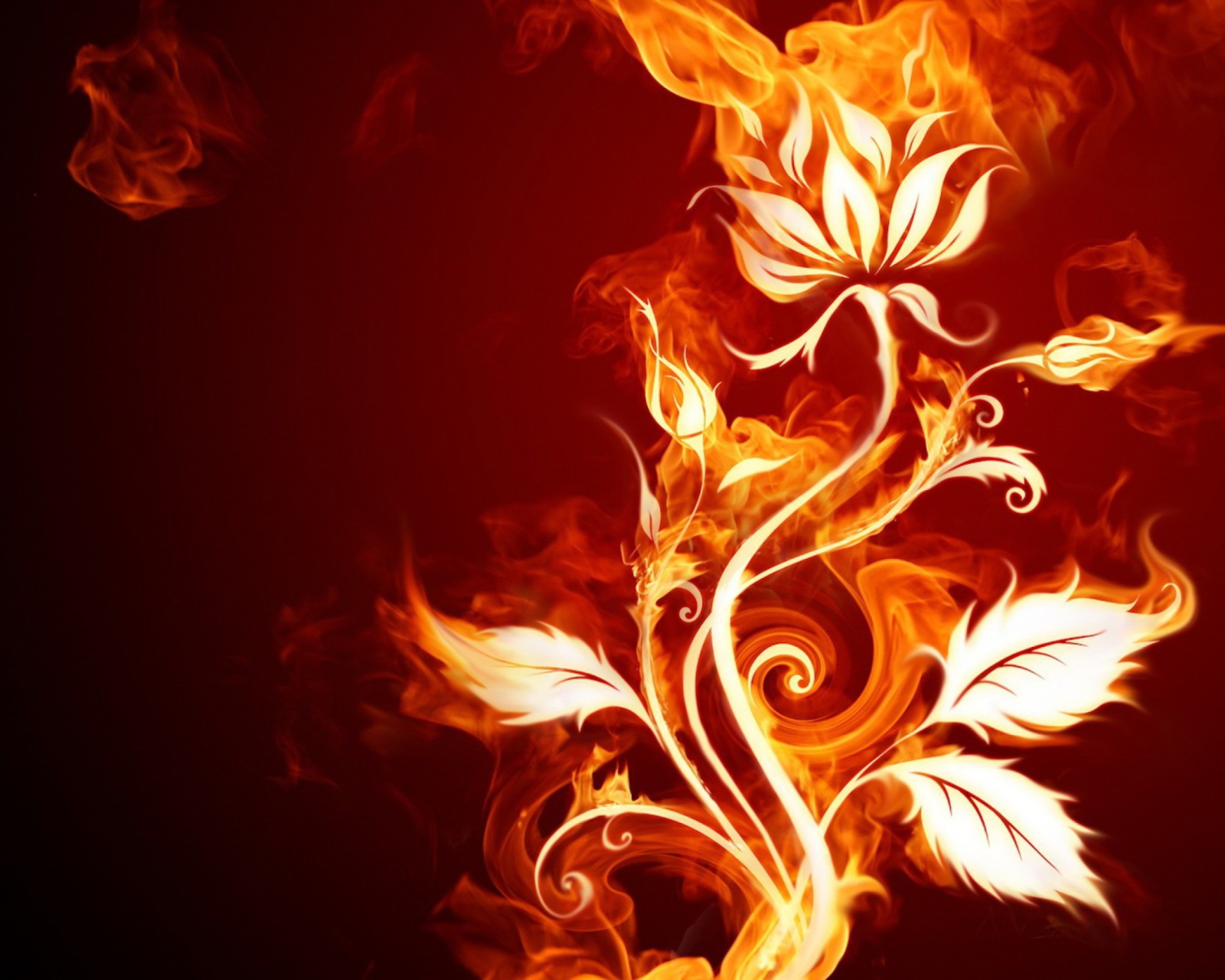 Das Fire Flower Wallpaper 1600x1280