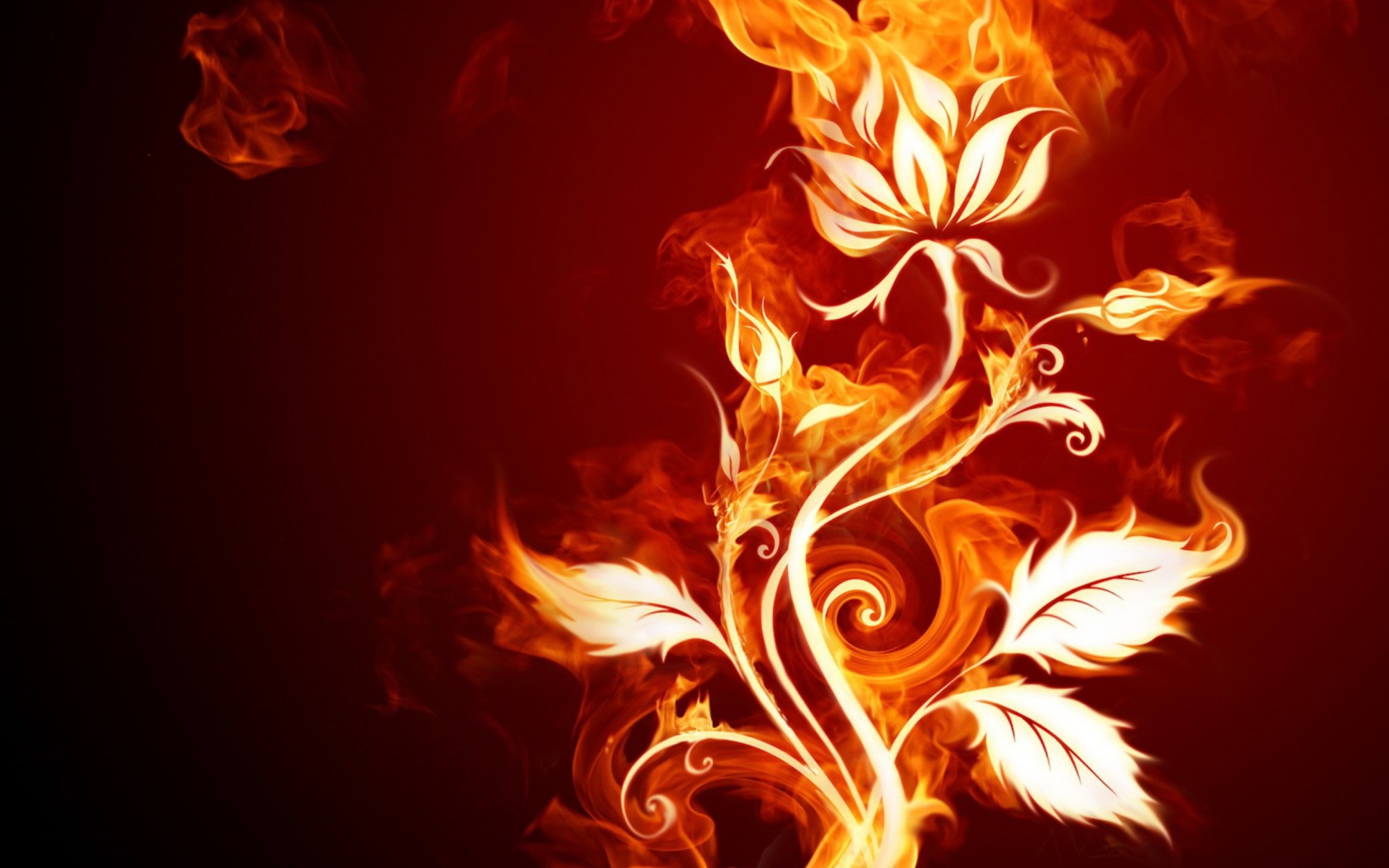 Das Fire Flower Wallpaper 1680x1050