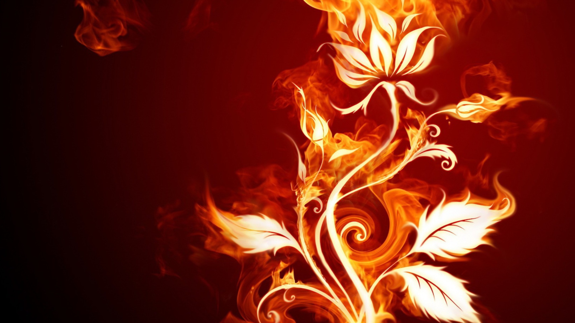 Fire Flower wallpaper 1920x1080