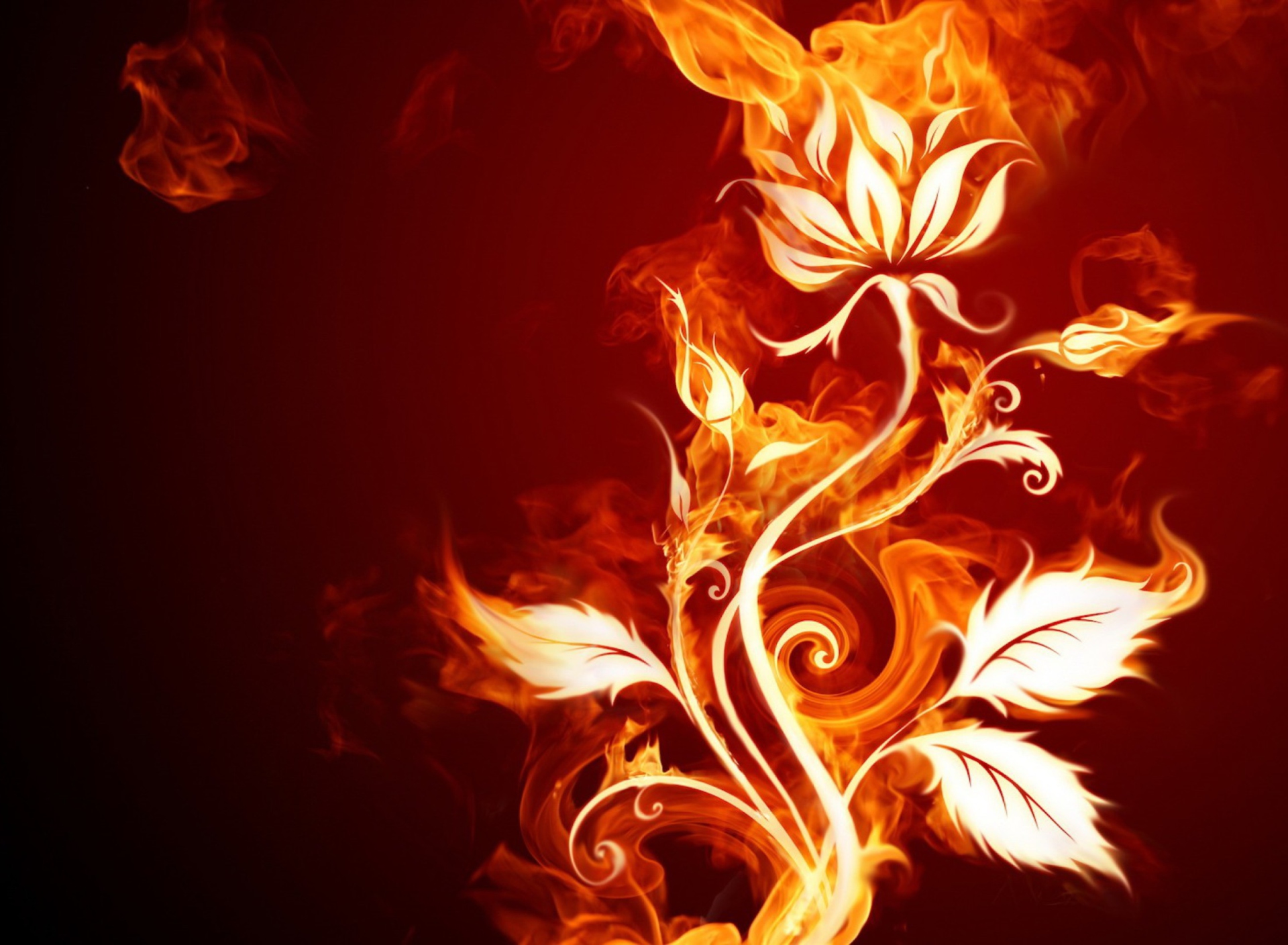 Fire Flower wallpaper 1920x1408