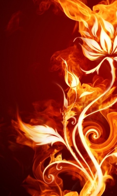 Das Fire Flower Wallpaper 240x400
