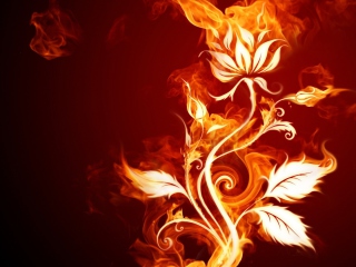 Das Fire Flower Wallpaper 320x240