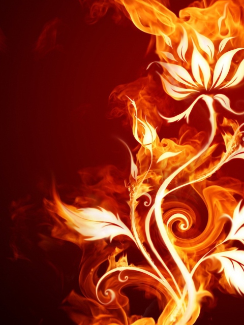 Das Fire Flower Wallpaper 480x640