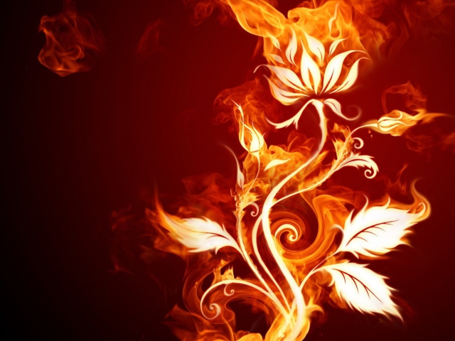 Обои Fire Flower 640x480