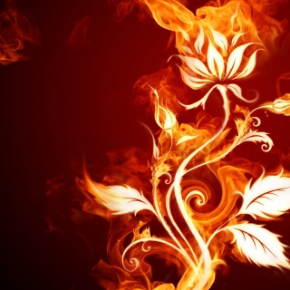 Fire Flower papel de parede para celular para iPad 2