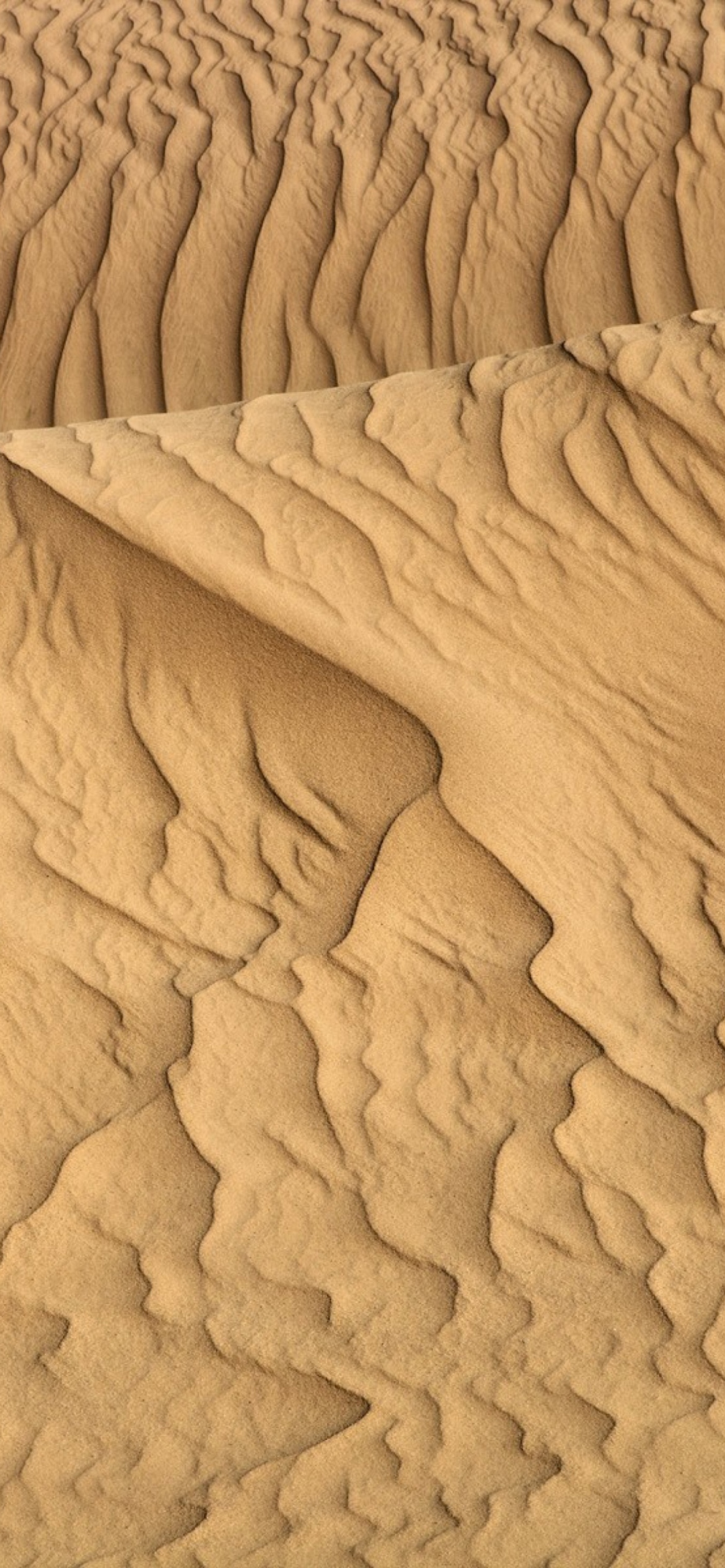 Sahara Sands screenshot #1 1170x2532