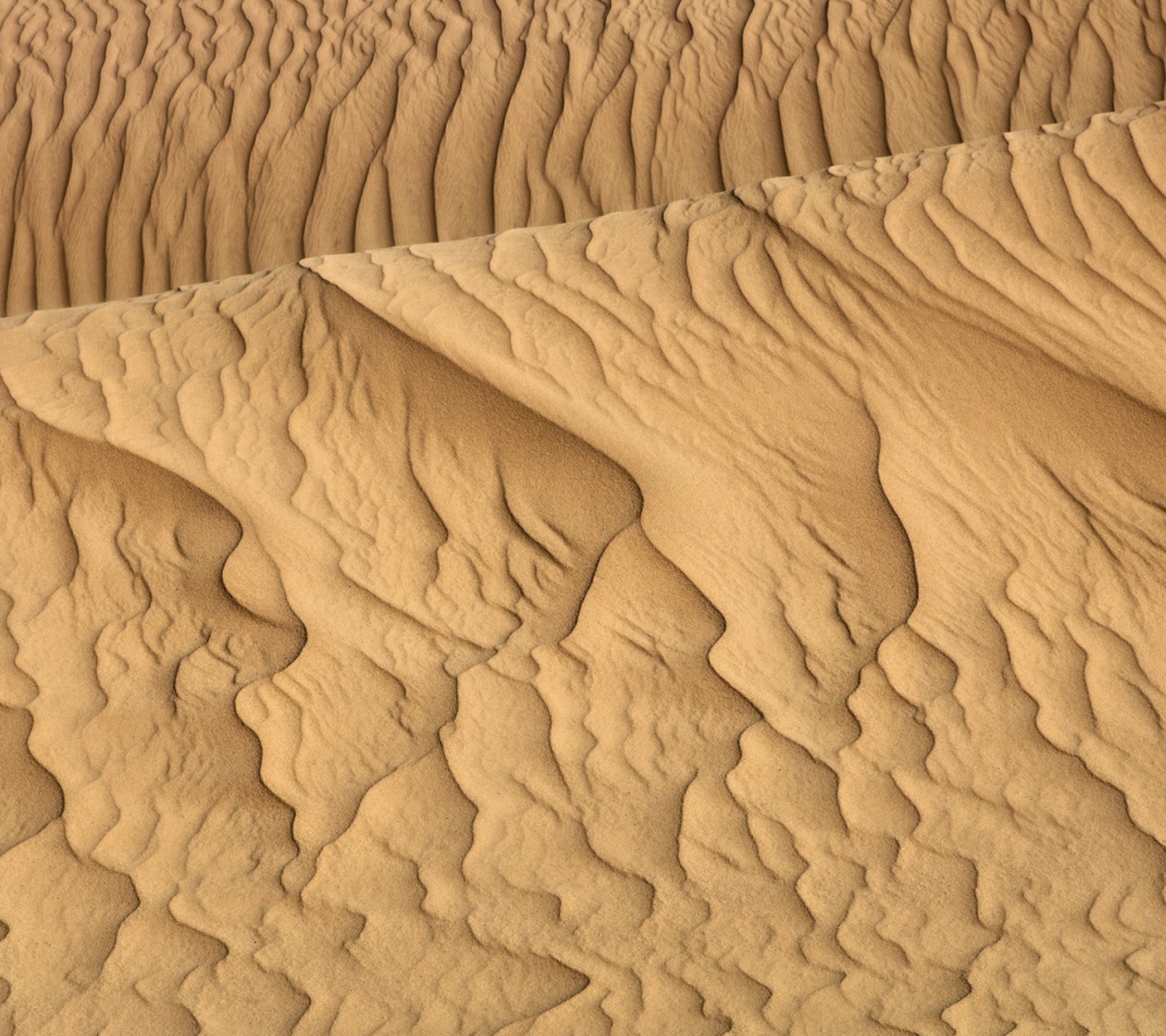 Screenshot №1 pro téma Sahara Sands 1440x1280